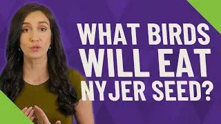 What birds will eat Nyjer seed?