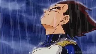 Vegeta in the rain - After Dark