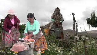 trat4ba m4l a su esposa por no traerle a la hora su comida -cholita mamila