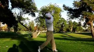 golf terry front