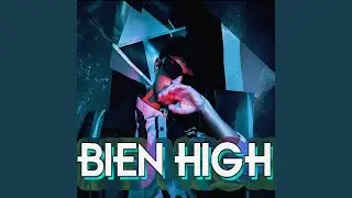 BIEN HIGH