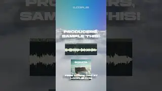 sample this loop!
