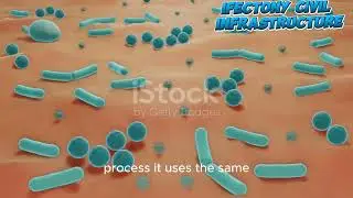 Wastewater Treatment Technologies: A Deep Dive