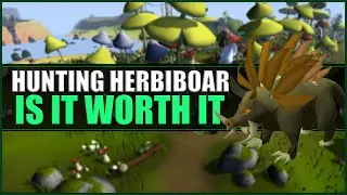 Loot From Hunting 1000 Herbiboars in OSRS