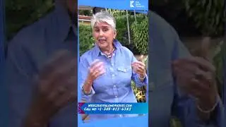 Upgrade Your Landscaping