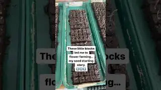 I was such a horrible seed starter