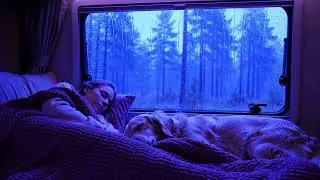 Deep Sleep Rain and Thunder Sounds for Anxiety and Stress Relief