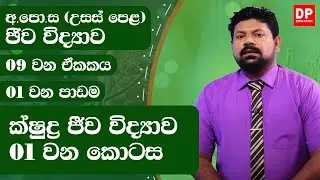 09 වන ඒකකය | 01 වන පාඩම - ක්ෂුද්‍ර ජීව විද්‍යාව - 01 වන කොටස | අ.පො.ස උසස් පෙළ ජීව විද්‍යාව