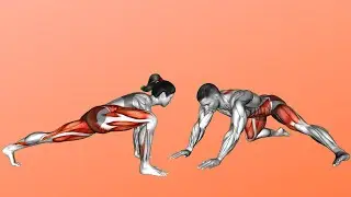 Daily Morning Stretch for Stiffness & Back Pain