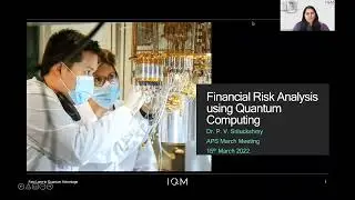 Financial risk analysis using Quantum Computing