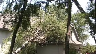 Storm Damage Tree Removal