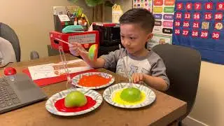 Owen&rsquo;s Apple stem project for school
