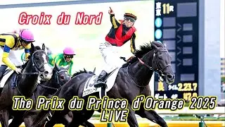 The Prix du Prince d'Orange 2025 LIVE G3 プランスドランジュ賞 GIII Croix du Nord & 【UMAMUSUME PRETTY DERBY】