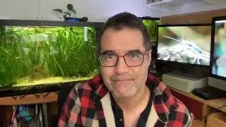 Greg Pak Inversion Announcement
