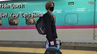 Traveling Across Japan with Two Cats