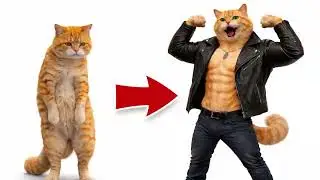 From Rejected Fat Cat To Unexpected Hero