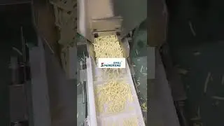 Fried frozen French fries production line