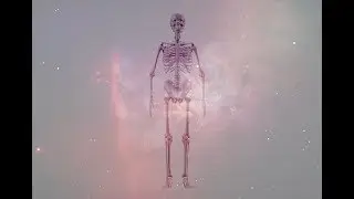 Shaking Astronauts&rsquo; Legs May Prevent Bone Loss in Space