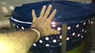 MANEJO COM OS PINTINHOS DE CODORNAS ATÉ OS 17 DIAS! HOJE 22 de março de 2021!