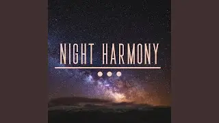 Night in Paradise 44