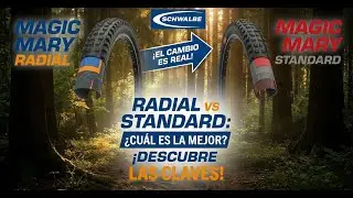 Magic Mary RADIAL vs STANDARD &iquest;VALE LA PENA?