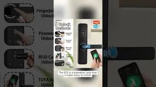 DSKDFTY-Biometric Electronic Door Lock, Digital, Black, Smart, Tuya APP | Savings Zone | 3  #shorts