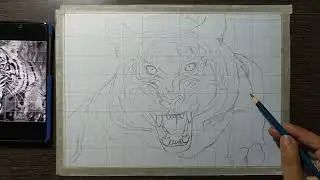 TIGER drawing tutorial step by step| how to draw outline of a drawing| how to draw tiger outline ✏️