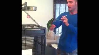 lory rainbow tricks rio
