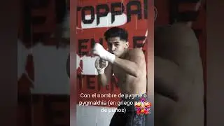 #boxing #boxeo #boxeomundial