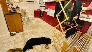 Утренняя стирка | Уборка с Кейт