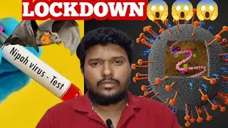 Kerala lockdown | NIPHA virus Explained | Tamil | Mr. AK | #lockdown #kerala
