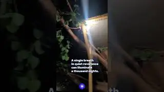 1 Breath in Silence Can Change Everything 🌙🕯️#buddhism #temple #night #silence #shortvideo