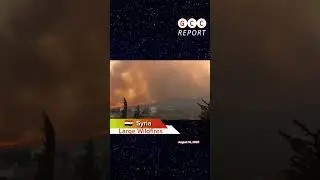 🇸🇾 Large Wildfires in Syria