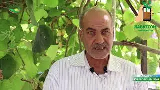 يوسف نور الدين | اسرار زراعة الكيوي
