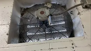 18” Dayton Shutter Mount Exhaust Fan
