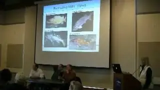 Local MPA Panel Discussion - Part 2