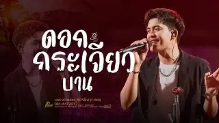 ดอกกระเจียวบาน - ธีร์ ทีเร็กซ์ ( Original ก้อง ห้วยไร่ ) #ดอกกระเจียวบาน
