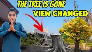 Tree Is Gone 😭 | View Changed ❤️ | Purana Darakht Yaad Aye Ga | Taha Saraiki Vlog 