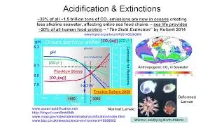 Ocean Warming & Acidification - Dr. Alex Cannara @ TEAC8