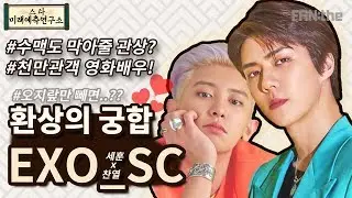 난 EXO-SC 'What a life' MV 보려고일해 │ REACTION 대신 엑소 세훈&찬열 궁합과 신점을 보았다!