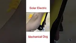 New Xiaomi Solar Electric Mechanical Dog_Smart Robot Dog Toys #smartappliances #amazon #short