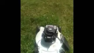 Mowing My Lawn and Neothinking