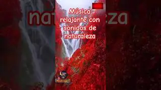 🌿 Sonidos Naturales para Relajarse 🍃 Paz, Calma y Naturaleza #nature #musicoterapiaparadormir
