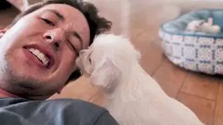 I GOT A NEW PUPPY!! BEST BREED EVER - MALTESE CHIHUAHUA MIX