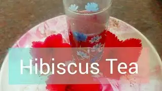 Hibiscus Tea/healthy and energy drink