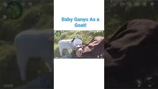 Baby Ganyu as Goat! | Genshin Impact