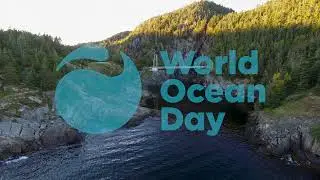 World Oceans Day! June 8th. 4k
