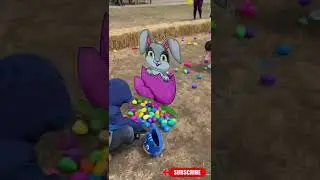 Easter Fun at Downeys Farm | Easter Egg Hunt @ downey's farm #shorts #divit #easter  #downeysfarm