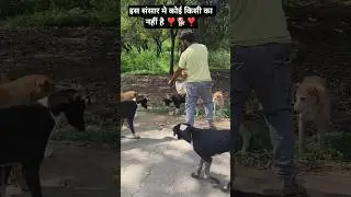 Bejuban Bacho Ka Pyar ❣️🐕❣️#shorts #respect #dog #bejuban #animals #Gmsahu
