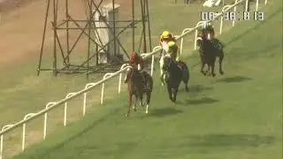 PRIDE'S PRINCE wins The Potential Champion Trophy